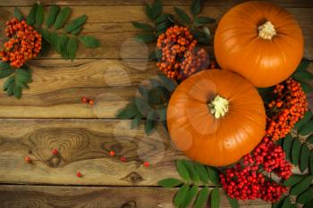 pumpkins, rowan berries and leaves on wooden background