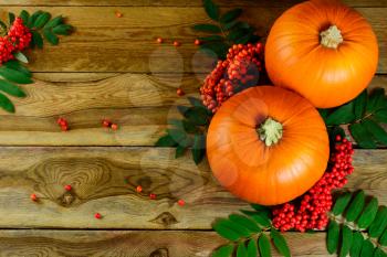 Thanksgiving background with pumpkins and rowan berries. Thanksgiving party invitation card. Harvest concept.