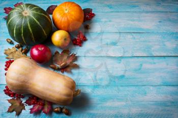 Thanksgiving  greeting with pumpkins on blue wooden background. Thanksgiving background with seasonal vegetables and fruits. Copy space