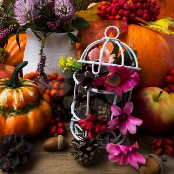 Thanksgiving centerpiece with pumpkins, apples, white birdcage, cones and pink flowers