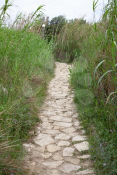 Cobblestone Pathway in the middle of green high grass, Worn Rocky Trail of Stone and Rocks Surrounded by Vegetation and Plants, Old Natural Walkway into the Fresh Spring Herbs 