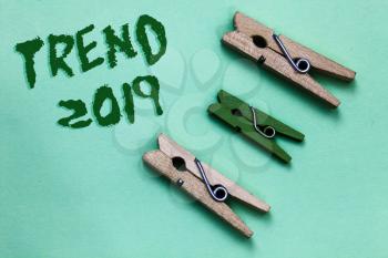 Text sign showing Trend 2019. Conceptual photo things that is famous for short period of time in current year Three brown green vintage clothespins clear background Holding things
