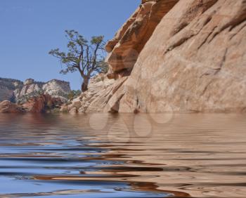 Surreal digital art. Pine on a rocky mountain. Quiet water surface.