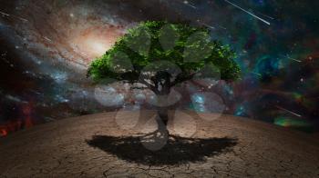 Sci Fi art. Tree of Life