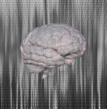 Digital brain with binary code pattern. 3d rendering.