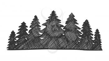 Drawn Landscape Pinery Coniferous Forest Vector. Black And White Silhouette Spruce Forest. Monochrome Ink Design In Retro Vintage Style Pine Tree Wood Nature Ecological Land Cartoon Illustration