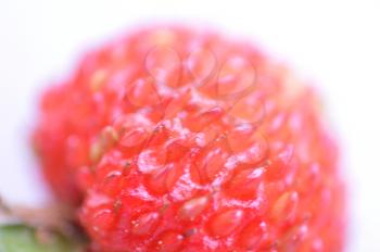 Wild berries close up, strawberries