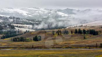 Countryside of Yellowstone National Park