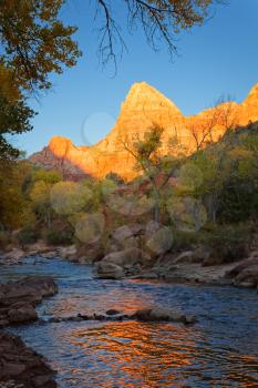 The Watchman in Zion National Park