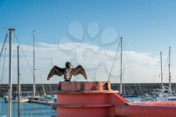 Cormorant spreading wings on a red structure in Brighton
