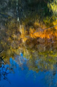 Reflections on a sunny autumn day at Cripplegate Lake in West Sussex