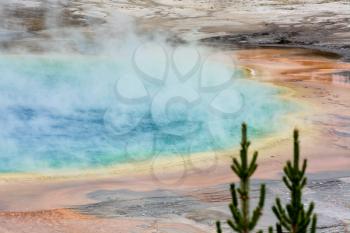 View of the Grand Prismatic Spring in Yellowstone