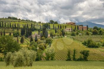 Countryside around Sant Antimo Abbey in Montalcino Tuscany