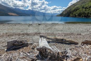 Driftwood on the shore of Lake Wanaka in New Zealand