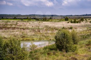 View of Fenn's, Whixall and Bettisfield Mosses National Nature Reserve in Shropshire