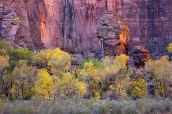 View of Pulpit Rock in Zion National Park