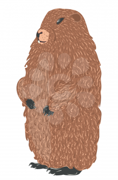 Cute cartoon groundhog, marmot in standing pose detailed illustration.