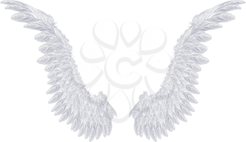 Pair of detailed light gray angel wings on white background.