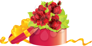 Red roses and green leaves in opened gift box on white background.