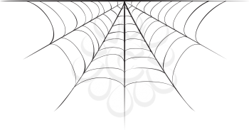Abstract decorative spider web border illustration, design for Halloween.