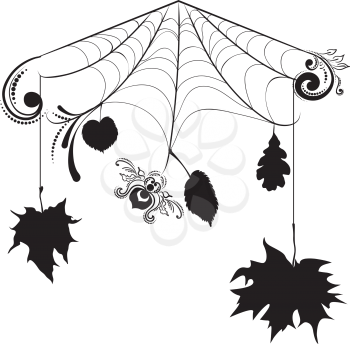 Decorative spider web with vintage floral ornament.