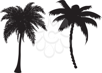 Two black palm tree silhouettes on white background.