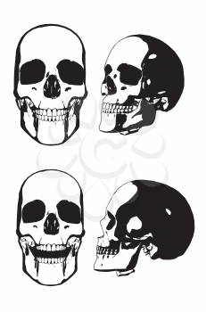 Black and white human skull grunge illustration.