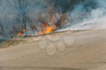 Burning dry grass in smoke and fire, early spring.