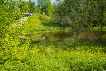 Small river in the countryside and green bushes at the summer day.