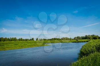 Small river in the countryside and green bushes at the summer day.