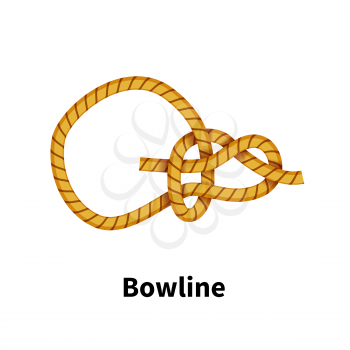 Bowline sea knot. Bright colorful how-to guide isolated on white