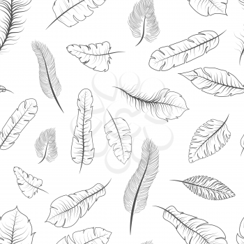 A lot of different black and white exotic feathers, seamless pattern on white