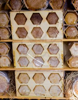 Sweet fresh honey in the sealed comb frame
