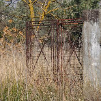 Vintage rusty metal gate and overgrown plants. Ruins in rural landscape.