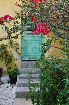 Old house exterior and bougainvillea plant with pink flowers.