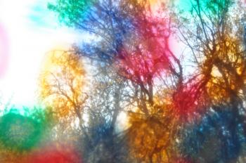Tree branches though colorful painted glass. Blurry forest abstract landscape.