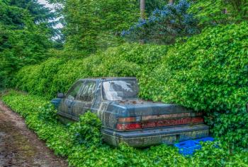 An old abandoned car in being overtaken by nature. High Dynamic Range image.