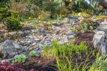 A view of a dry stream bed and flowers in Springt. Location is Seatac, Washington.