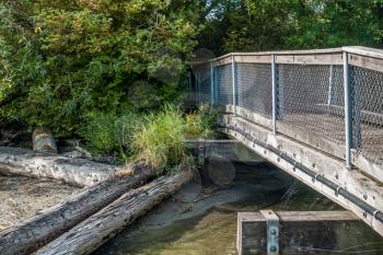 A view of a walking bridge at Gene Coulon Park in Renton, Washington.