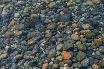 A view of rocks beneath saltwater in the shallows.