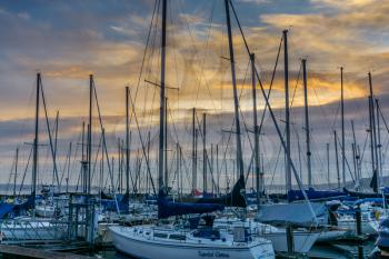 A view of a golden sunset behind boat masts.