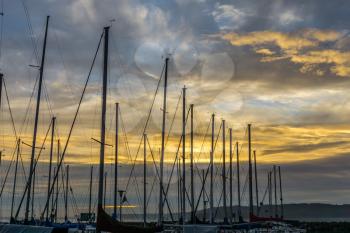 A view of a golden sunset behind boat masts.