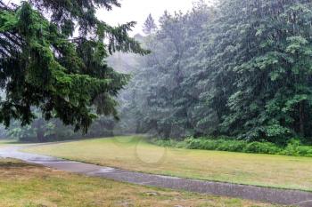 Rain pours down onto Maplewood Park in Renton, Washington.