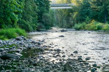 The Cedar River flows undea a highway in Maple Valley, Washington.