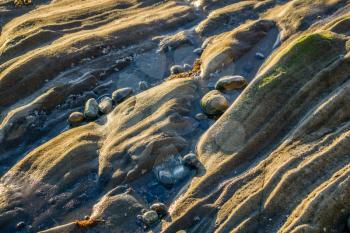 A closeup shote of rock structure on the shoreline in West Seattle.