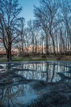 Bare trees are reflected in puddles in Kent, Washington.