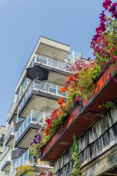 A variety of flowers bloom next to a modern building in West Seattle, Washington.