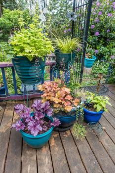 A variety of plants sit on a front porch in Burien, Washington.