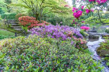 Flowers are in full bloom in this garden in Seattle, Washington.