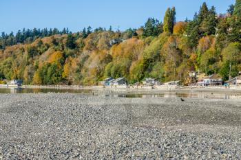 Autumn trees above waterfront homes in Des Moines, Washington.